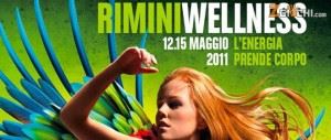 riminiwellnesskinect