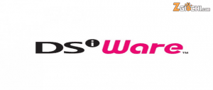 Immagine_News_Z-Giochi_DSi_Ware