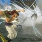 40506Whitebeard_020 copy