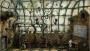 Machinarium4