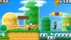 New Super Mario Bros 2 coop