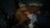 Until Dawn GC2012 (3)
