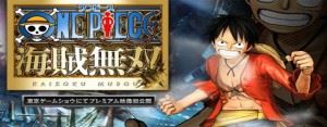 one-piece-pirate-warriors