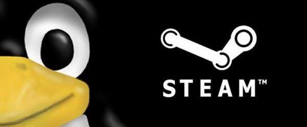 Steam per Linux solo a partire dal 2013 mobile