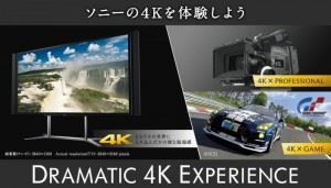 Sony TV - GT 5