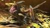 big_MonsterHunter417