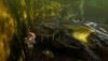 big_MonsterHunter449
