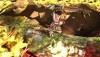 big_MonsterHunter46