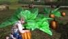 fall_festival_pumpkins