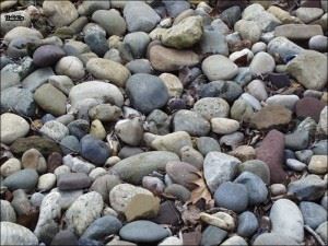rocks