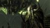 seeker_jpg_0x0_watermark-big_q85