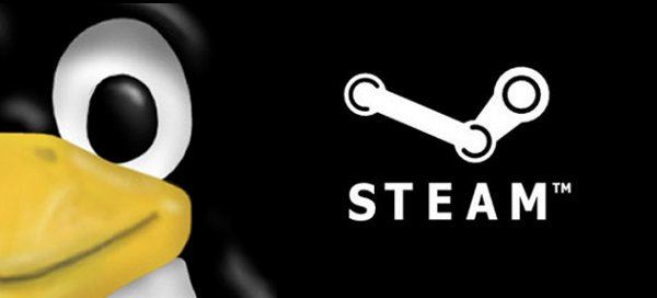 Valve al lavoro per migliorare la compatibilità di Steam sui sistemi Linux