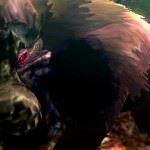 MH4 9