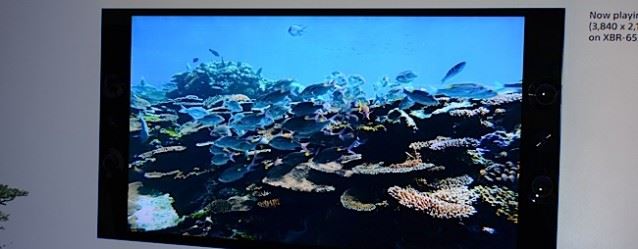 Confermata la risoluzione 4K per i film su PS4 mobile
