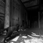 TheLastCrown-Feline-Intuition