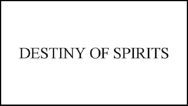 Destiny of Spirits annunciato ufficialmente