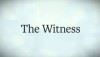 Rilasciato un Dev-diary di The Witness su PS4