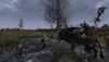fallows_raw_04