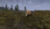 fallows_raw_05