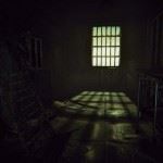 daylight-07