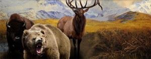 hunters-trophy-2-america-evidenza