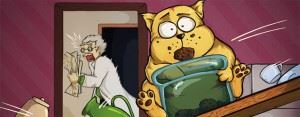 cat-on-a-diet-evidenza