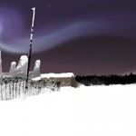 The Long Dark