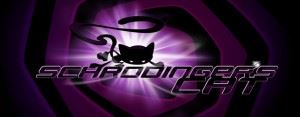 schrodingers-cat-evidenza