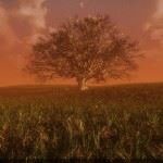 screenshot_tree_jpg_1400x0_q85