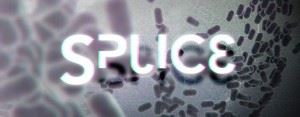 Splice - Recensione