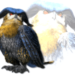 monster-hunter-x-31-07-39
