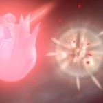 World of Final Fantasy (13)